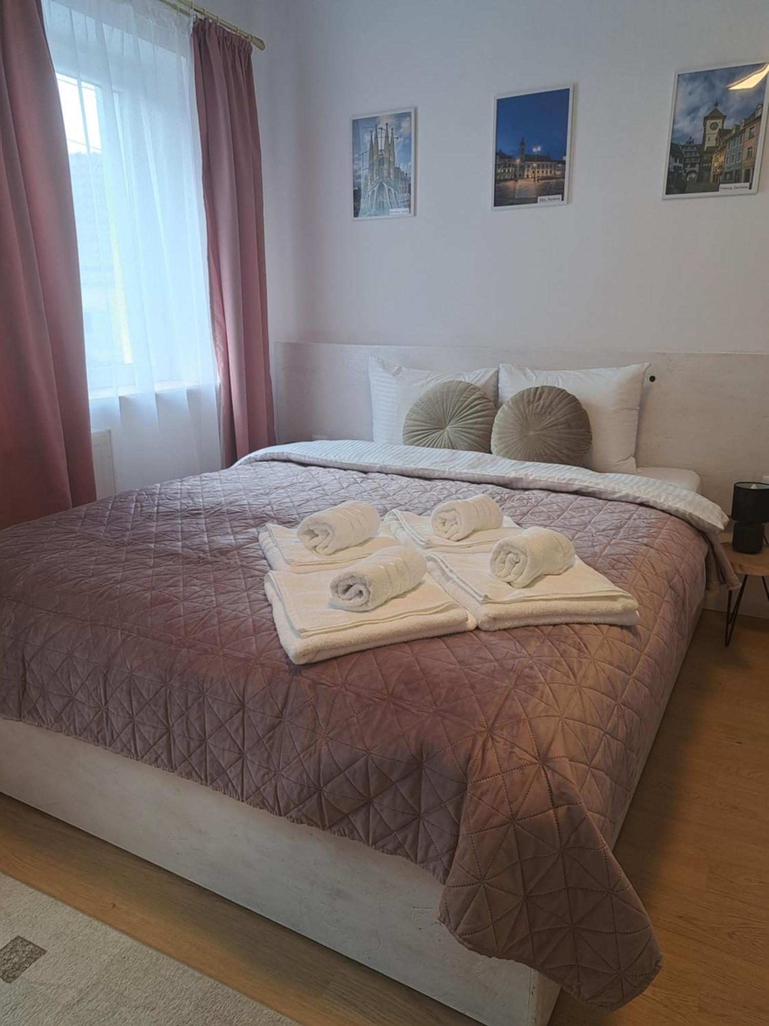 With Free Parking In The Center - Deliamo 3 * Sibiu
